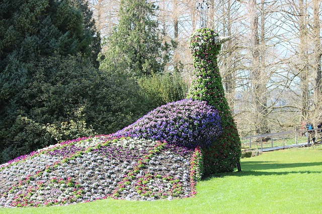 mainau