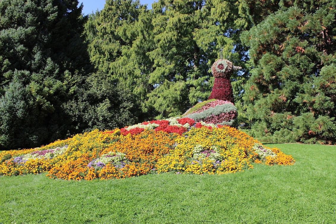 2.mainau-pfau.jpg